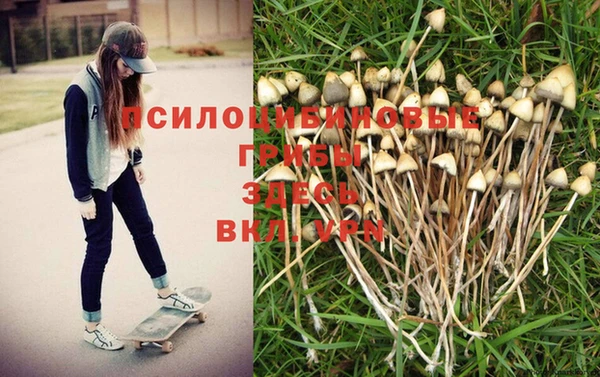 гидропоника Алексин
